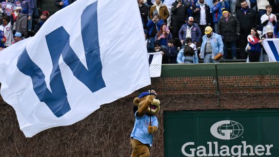 Sports Betting Free Picks: Best bets in College Basketball, MLB, College Football and NFL. Photo by Rick Osentoski-Imagn Images