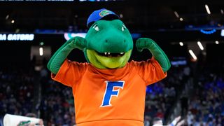 Sports Betting Free Picks: Best bets in College Basketball, MLB, College Football and NFL (Betting strategy). Photo by Kyle Terada, Imagn Images